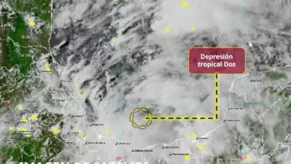 En caso de alcanzar la categoría de Tormenta Tropical, este fenómeno sería nombrado “Barry” En caso de alcanzar la categoría de Tormenta Tropical, este fenómeno sería nombrado “Barry”