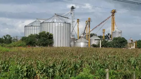 Campesinos de Hecelchakán exigen precio justo por el maíz ante abandono oficial