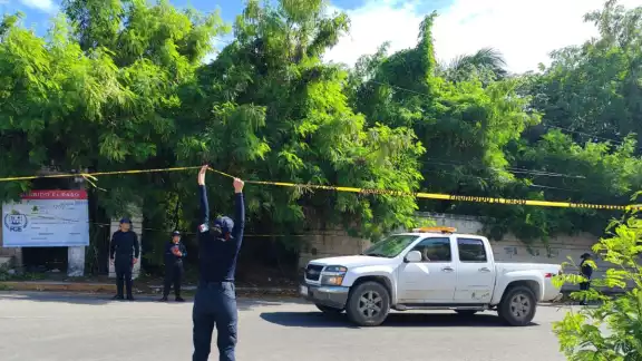 Indigna a más de 500 chetumalenses fraude de crematorio de mascotas Xibalbá, delincuentes lucraron durante más de 4 años con el dolor ajeno Indigna a más de 500 chetumalenses fraude de crematorio de mascotas Xibalbá, delincuentes lucraron durante más de 4 años con el dolor ajeno