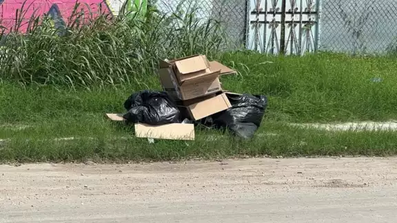 La basura causa molestias a vecinos La basura causa molestias a vecinos