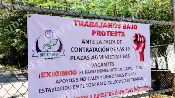 Trabajadores de Ecosur denuncian estrés laboral y acoso que afecta su salud física y mental. Trabajadores de Ecosur denuncian estrés laboral y acoso que afecta su salud física y mental.