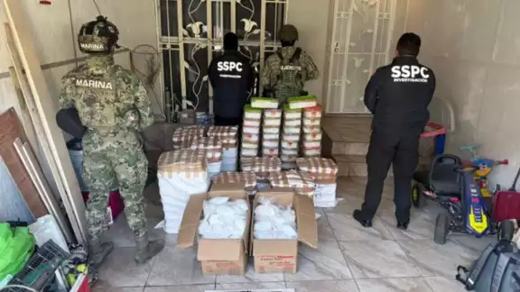 Este aseguramiento representa un fuerte golpe a las estructuras de distribución de drogas sintéticas en el norte del país Este aseguramiento representa un fuerte golpe a las estructuras de distribución de drogas sintéticas en el norte del país