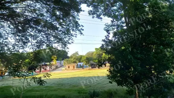 Habitantes denuncian que la CFE no ha atendido el problema pese al riesgo de un accidente o apagón en la región de Los Chenes. Habitantes denuncian que la CFE no ha atendido el problema pese al riesgo de un accidente o apagón en la región de Los Chenes.
