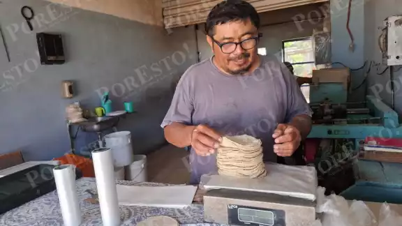 Productores y molineros temen alza en el precio de la tortilla por aumento del maíz