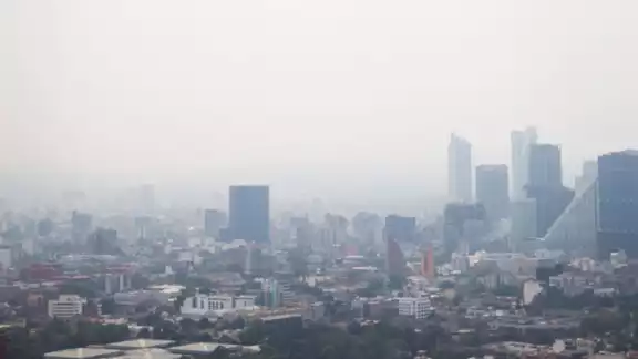 Las concentraciones horarias de ozono acabaron siendo menores de las previstas en el Valle de México. Las concentraciones horarias de ozono acabaron siendo menores de las previstas en el Valle de México.