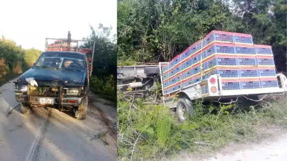 Un vendedor de pollos fue asaltado y lesionado en el brazo izquierdo por un hombre armado Un vendedor de pollos fue asaltado y lesionado en el brazo izquierdo por un hombre armado