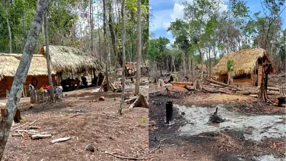 Ejidatarios denuncian que 10 mil hectáreas de su ampliación forestal están invadidas. Ejidatarios denuncian que 10 mil hectáreas de su ampliación forestal están invadidas.