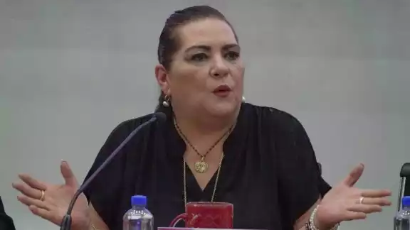 Los movimientos ocurren en un contexto de reconfiguración del INE bajo la presidencia de Guadalupe Taddei Zavala Los movimientos ocurren en un contexto de reconfiguración del INE bajo la presidencia de Guadalupe Taddei Zavala