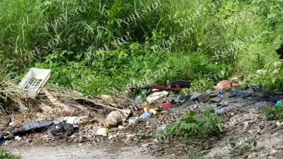 Denuncian riesgo sanitario por lote baldío en colonia de Champotón Denuncian riesgo sanitario por lote baldío en colonia de Champotón