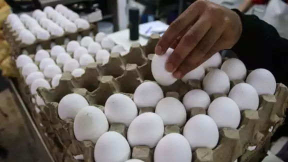 Los precios de mercancías subieron 0.41% durante el segundo mes del año Los precios de mercancías subieron 0.41% durante el segundo mes del año