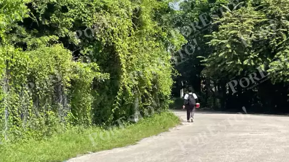 Vecinos de la colonia Nueva Jerusalén en Champotón piden limpieza en las periferias del COBACH 09. Vecinos de la colonia Nueva Jerusalén en Champotón piden limpieza en las periferias del COBACH 09.