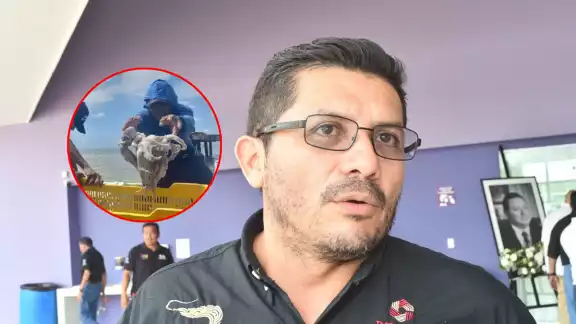 El director del Inpesca Campeche pidió a los pescadores denunciar robos de herramientas y captura ilegal de pulpo maya. El director del Inpesca Campeche pidió a los pescadores denunciar robos de herramientas y captura ilegal de pulpo maya.