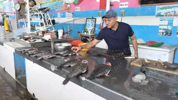 Mercado Alonso Felipe Andrade reporta caída en ventas por clima Mercado Alonso Felipe Andrade reporta caída en ventas por clima
