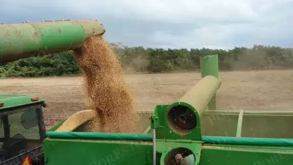 En el ejido Rancho Sosa, municipio de Hopelchén, inició la trilla de soya con las primeras 12 hectáreas cosechadas.