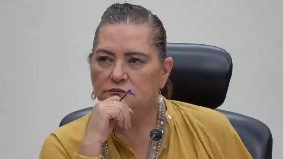 Guadalupe Taddei Zavala, presidenta del Instituto Nacional Electoral (INE)