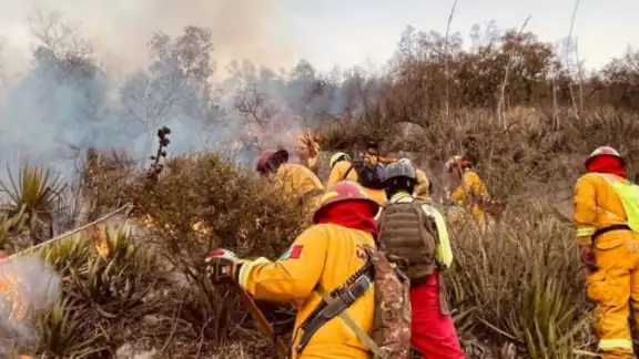 Las brigadas trabajan de manera coordinada para evaluar y extinguir los llamados "puntos calientes" Las brigadas trabajan de manera coordinada para evaluar y extinguir los llamados "puntos calientes"
