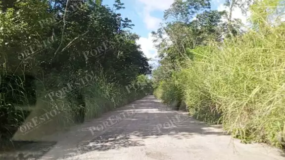 Sin apoyo gubernamental, pobladores limpian tramo clave en Champotón