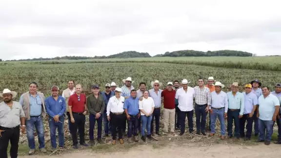 Sector cañero de Quintana Roo aún no se recupera de la crisis de la zafra 2024-2025; buscan apoyo del gobierno para iniciar nueva zafra