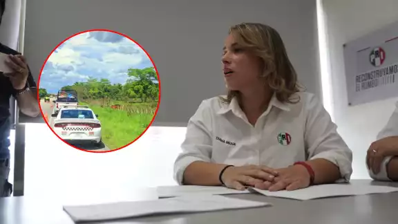 El PRI presentó una denuncia ante la Fiscalía Anticorrupción para que se investigue si hubo omisión de autoridades en el caso de Aracely C.L. El PRI presentó una denuncia ante la Fiscalía Anticorrupción para que se investigue si hubo omisión de autoridades en el caso de Aracely C.L.