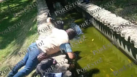 Un cráneo fue localizado en el Parque La Reina de Tizimín Un cráneo fue localizado en el Parque La Reina de Tizimín