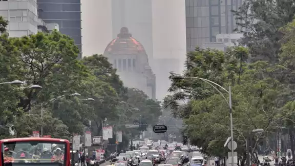 El programa Hoy No Circula es una medida ambiental que restringe la circulación vehicular en días específicos El programa Hoy No Circula es una medida ambiental que restringe la circulación vehicular en días específicos