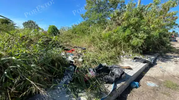 Lote baldío genera malestar en colonia; vecinos piden acción al Ayuntamiento