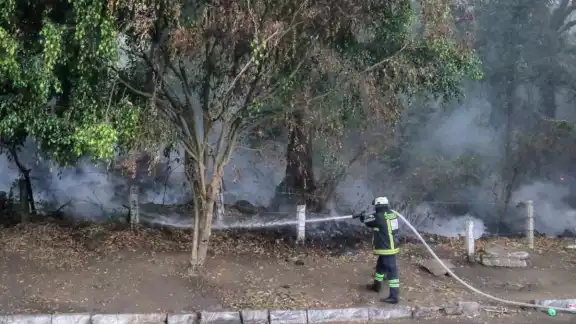 La acción coordinada permitió detener la expansión del fuego que afectó un estimado de mil 760 hectáreas