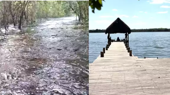 Escurrimientos de agua desde Bacalar inundan caminos en la selva de Noh-Bec, Q. Roo. Escurrimientos de agua desde Bacalar inundan caminos en la selva de Noh-Bec, Q. Roo.