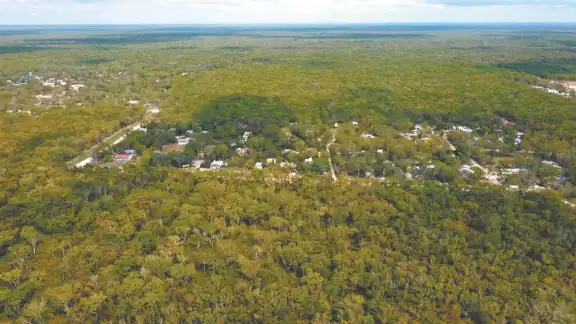 A lo largo de la Costa Maya hay alrededor de 25 asentamientos irregulares; los impulsores se han enriquecido gracias a la venta ilegal de los terrenos. (Fotos: Especial) A lo largo de la Costa Maya hay alrededor de 25 asentamientos irregulares; los impulsores se han enriquecido gracias a la venta ilegal de los terrenos. (Fotos: Especial)