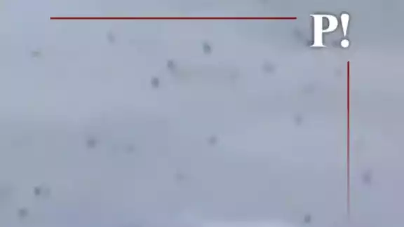 Captan a miles de zopilotes volando sobre las zonas afectadas de Poza Rica Captan a miles de zopilotes volando sobre las zonas afectadas de Poza Rica
