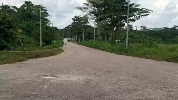 Doña Carolina descubre que su perro fue herido con una escopeta por su vecino Ezequiel, alias "El Cheques"