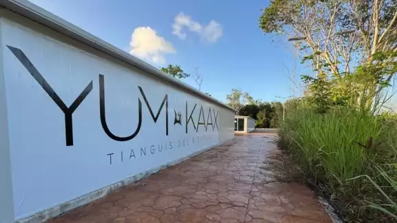 Tianguis 'Yum Ka'ax' de Chetumal se mantiene sin funcionar, tras casi dos años Tianguis 'Yum Ka'ax' de Chetumal se mantiene sin funcionar, tras casi dos años