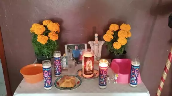 Familias chetumalenses se preparan para recibir a sus mascotas fallecidas Familias chetumalenses se preparan para recibir a sus mascotas fallecidas