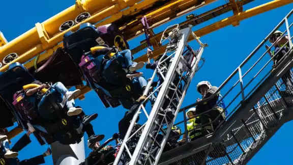 Six Flags tiene claro cuál será su siguiente paso en torno a la tala de árboles