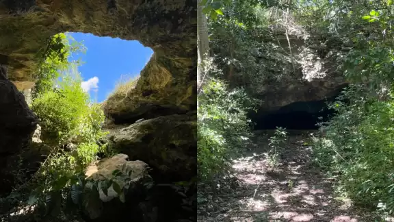 Lo que en algún momento representó un sitio para el esparcimiento familiar, hoy solo es el hogar de murciélagos e iguanas Lo que en algún momento representó un sitio para el esparcimiento familiar, hoy solo es el hogar de murciélagos e iguanas