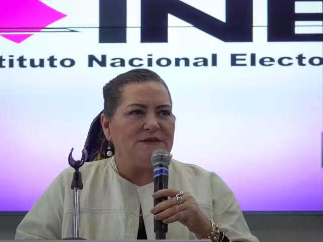 Guadalupe Tadei Zavala, consejera presidenta del Instituto Nacional Electoral (INE)