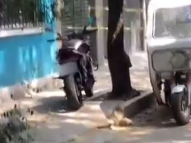 El crimen se perpetró la mañana de este martes 20 de mayo sobre Calzada de Tlalpan