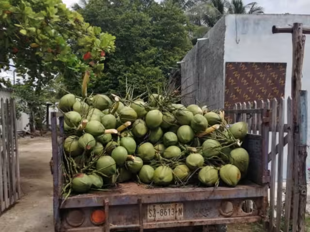 Indiferencia de CFE afecta la actividad comercial de negocios en Luis Echeverría Álvarez