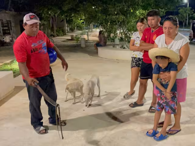 En riesgo menores en Hopelchén: Hallan otra serpiente en parque infantil recién inaugurado