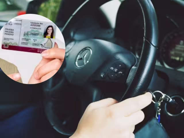 Costos de las Licencias de Conducir en Campeche