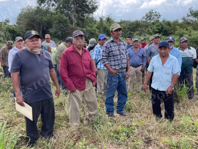 Sociedad apícola “Kabitah” defiende con pruebas su terreno en la colonia San Martín de Hopelchén