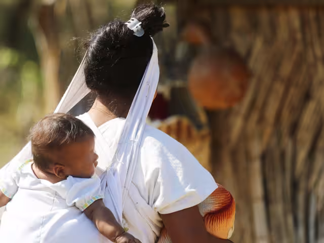 En comunidades indígenas de Campeche, niñas son intercambiadas por ganado o dinero y forzadas a casarse con hombres mayores