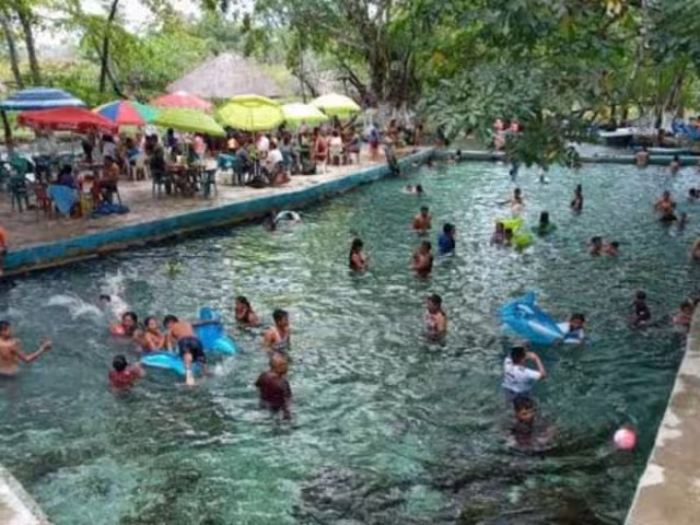 Evidencian condición insalubres de piscinas en el sur del estado