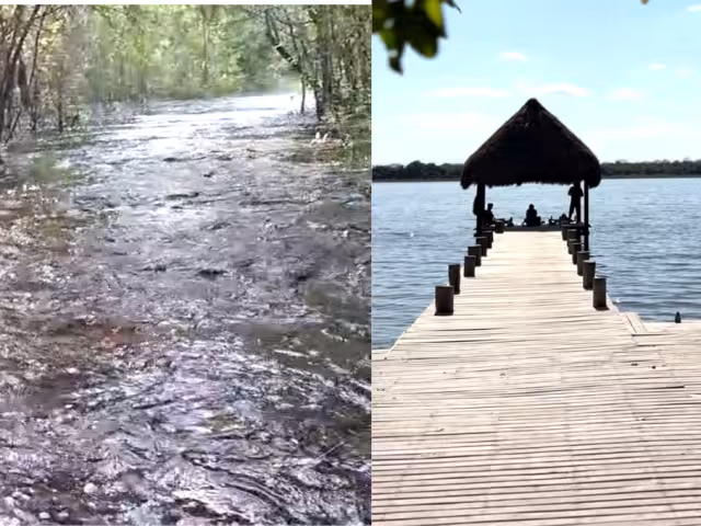 Escurrimientos de agua desde Bacalar inundan caminos en la selva de Noh-Bec, Q. Roo.