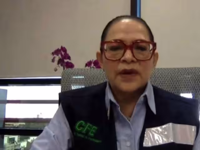 Emilia Calleja Alor, directora de la Comisión Federal de Electricidad (CFE)