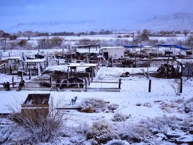 Debido a las bajas temperaturas 24 tramos carreteros permanecen cerrados