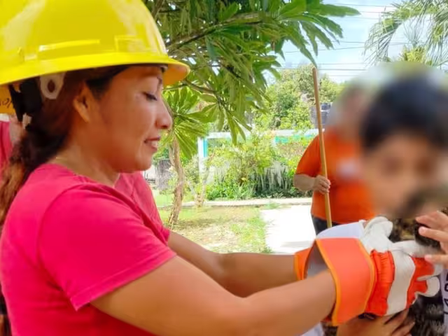 Salvan gatita atrapada en Chetumal