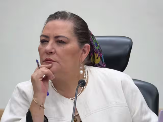 Guadalupoe Taddei Zavala, consejera presidenta del Instituto Nacional Electoral (INE)