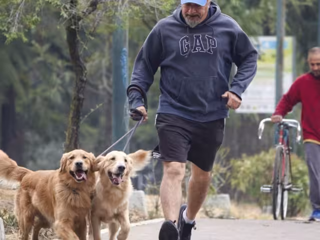 la reforma permitiría a los contribuyentes obtener un ahorro fiscal anual que podría oscilar entre mil 500 y cinco mil pesos