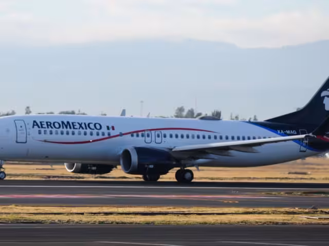 Aeroméxico es la empresa mexicana más grande e importante de la industria.